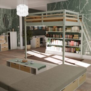 Ambiance d'un lit mezzanine adulte en 160x200 avec un accès par échelle sécurisée incluant 4 grande étagères bibliothèque