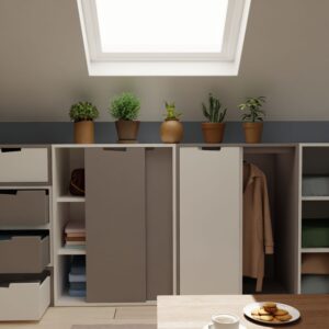 Espace de rangement adulte